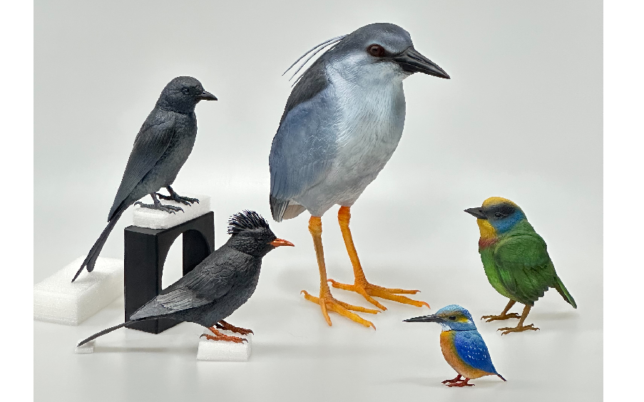 3D列印仿真鳥類模型